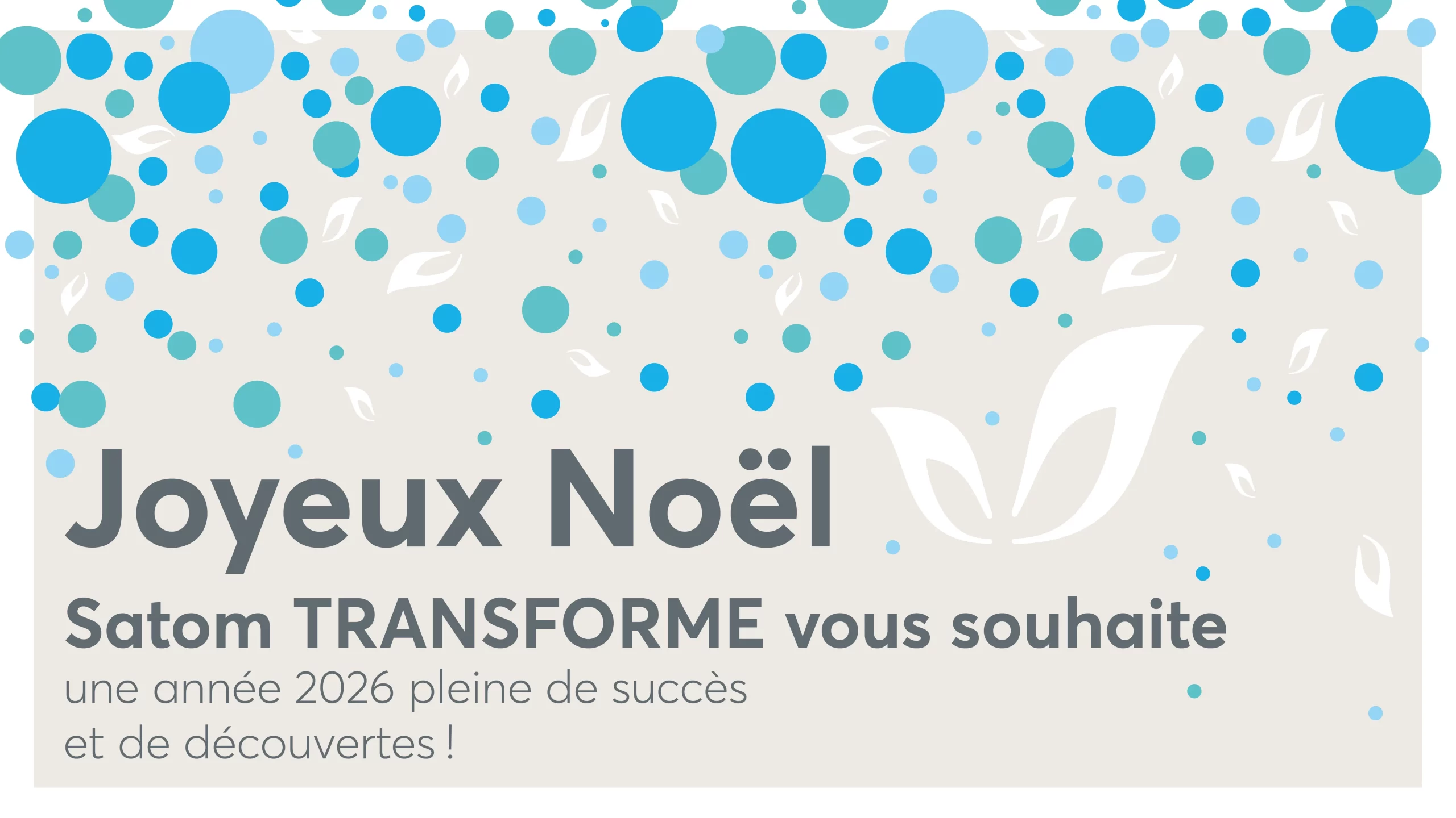 20251117 - satom - voeux - banner site internet